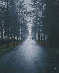 Road passing through trees