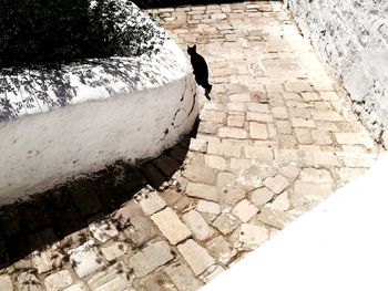 Rear view of man on retaining wall