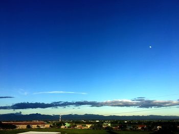 Scenic view of field against clear blue sky