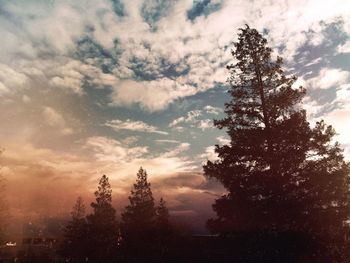 Silhouette tree against sky during sunset