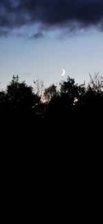 Low angle view of silhouette trees against sky at night