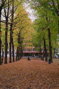 Footpath amidst trees during autumn