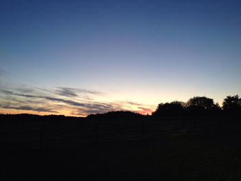 Silhouette of trees at sunset