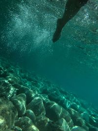 Low section of man swimming in sea