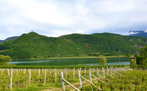 Scenic view of field and mountains against sky