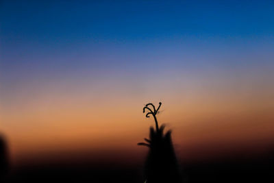 Scenic view of sky at sunset