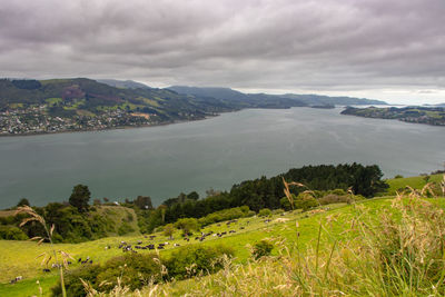 Scenic view of landscape against sky
