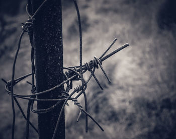 Close-up of barbed wire against sky