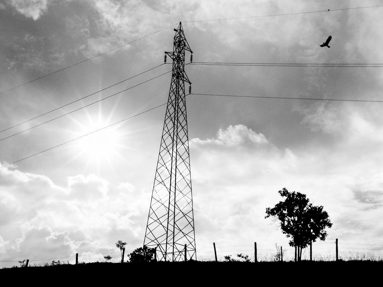 low angle view, sky, electricity pylon, silhouette, power line, power supply, fuel and power generation, electricity, sun, cloud - sky, connection, technology, cloudy, cloud, sunset, sunlight, cable, outdoors, sunbeam, no people