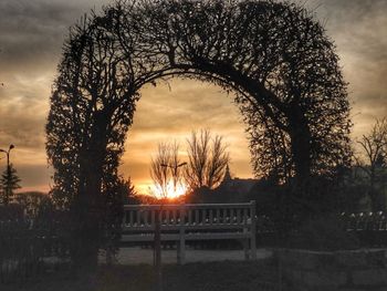 Bare trees against sky during sunset