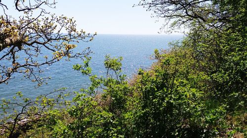 Scenic view of sea against clear sky