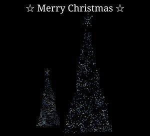 Illuminated christmas tree against black background