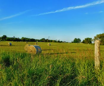 Scenic view of farm against sky