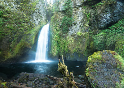 Scenic view of waterfall in forest