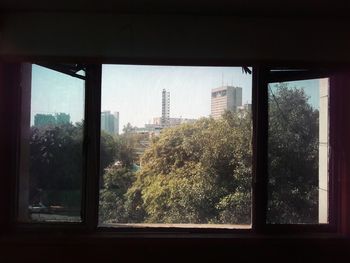 Trees and buildings seen through glass window