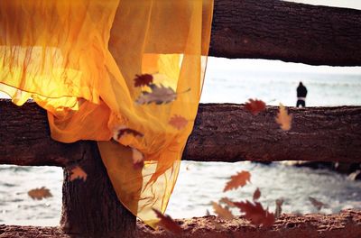 Yellow fabric on wooden fence against sea during autumn