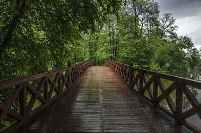 View of footbridge in forest