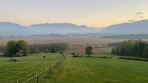 Scenic view of field against sky during sunset