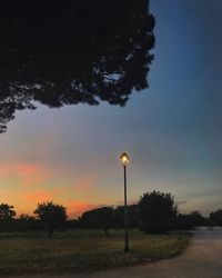 Street light and trees against sky at sunset