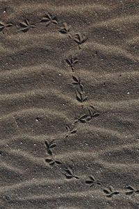 High angle view of footprints on sand