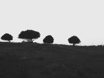 Trees on field against clear sky