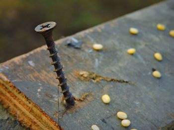 Close-up of rusty chain on wood