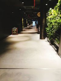 View of empty road at night