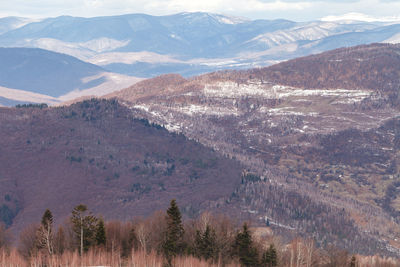 A picturesque view of the carpathian mountains in ukraine. high peaks in the snow