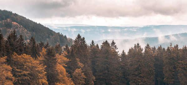 Scenic view of forest against sky during autumn