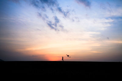 Silhouette birds flying over landscape against sky