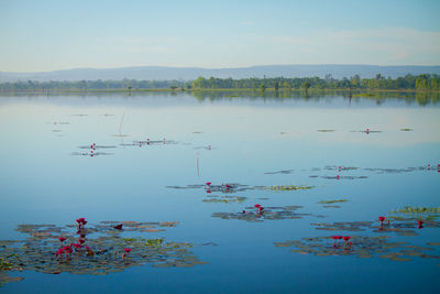 Scenic view of lake against sky