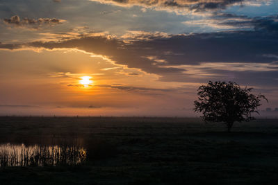 Silhouette trees on landscape against sky during sunset