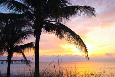 Palm trees on beach against sky during sunset