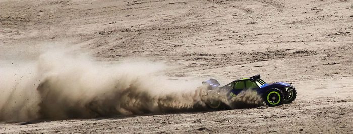 Horse cart in sand