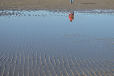 Person on sand at beach