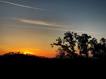 Silhouette trees against sky during sunset