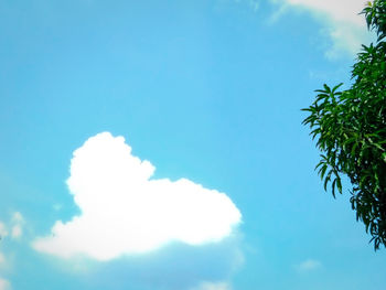 Low angle view of trees against blue sky