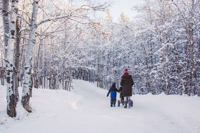 Rear view of man walking on snow covered landscape