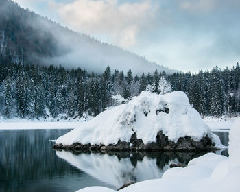 Snow covered trees by lake against sky