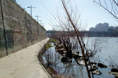 Bare trees by river in city during winter