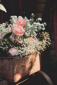 Close-up of rose flower pot on potted plant