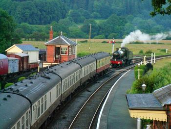 Train on railroad tracks by trees against sky