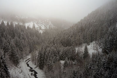 View of a valley with a stream running between snowy spruce forest with fog in the distance