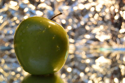 Close-up of fruit