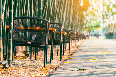 Many chairs and tables to sit and relax beside the path in natural green bamboo garden. 