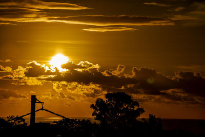 Low angle view of silhouette trees against sky during sunset