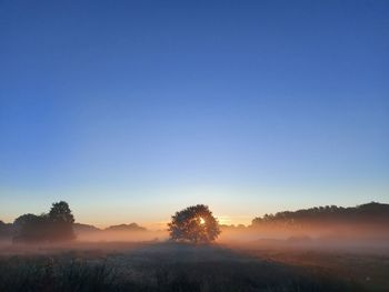 Scenic view of landscape against clear sky during sunset