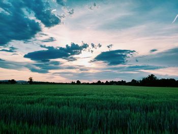 Scenic view of field against cloudy sky