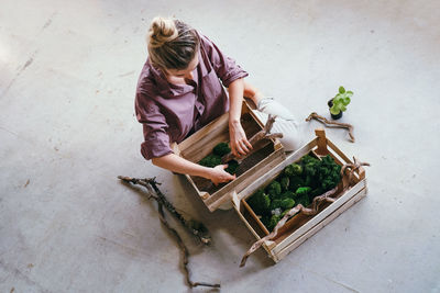 High angle view of woman working on plant