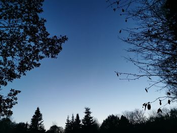 Low angle view of silhouette trees against clear blue sky